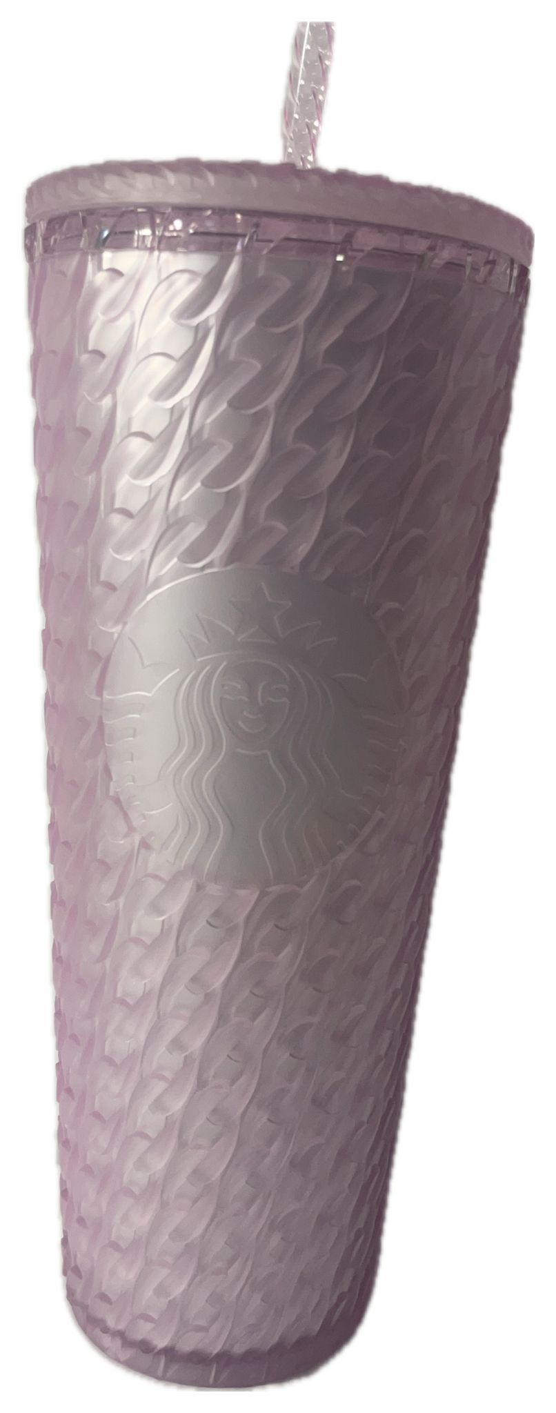 Starbucks Plastic Cold Cup Chain soft Touch 24oz Winter Fy24