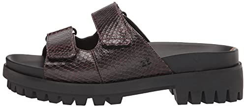 Sam Edelman Women's Eliana Sport Sandal