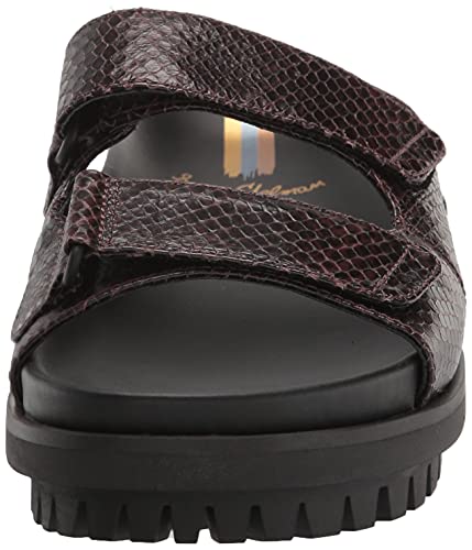 Sam Edelman Women's Eliana Sport Sandal